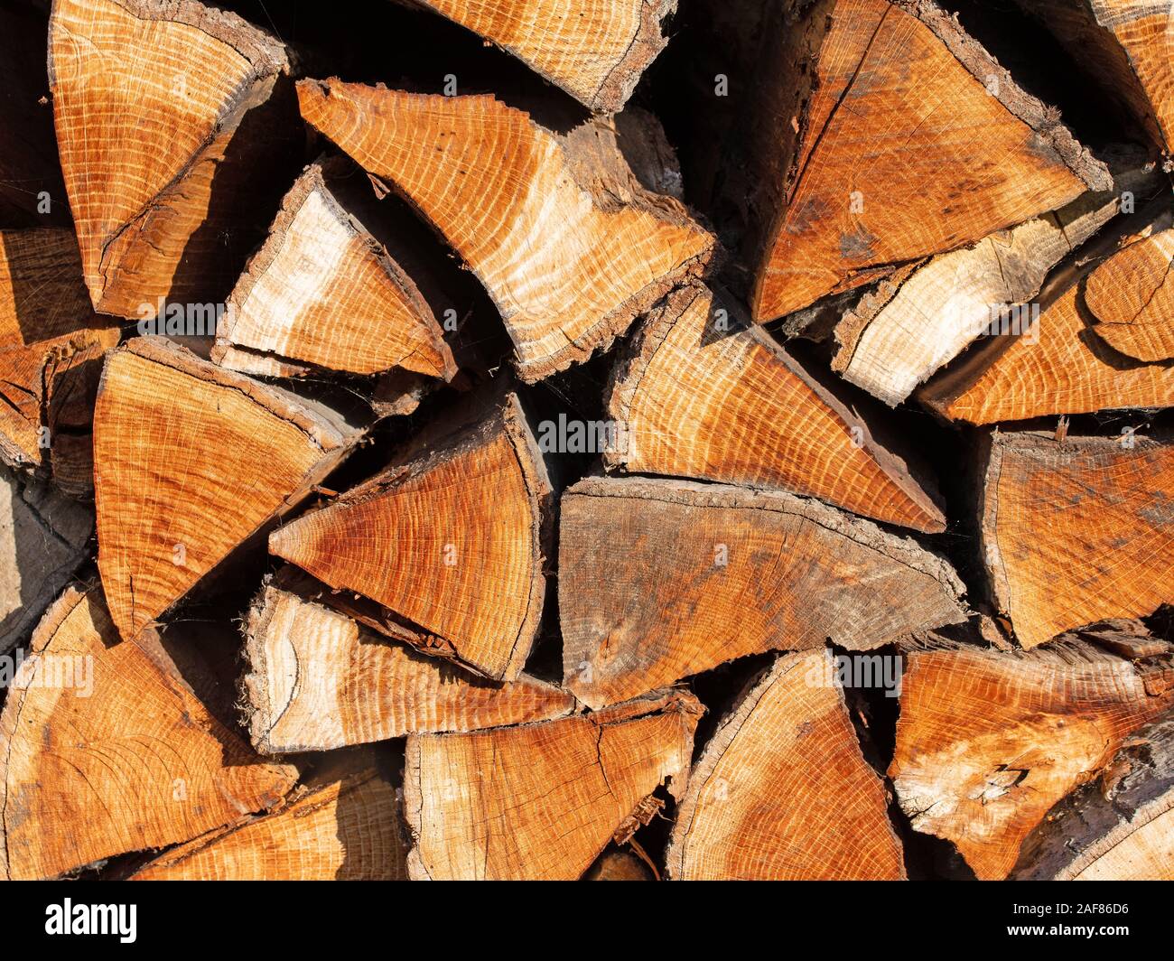 Stacked and chopped firewood to dry Stock Photo