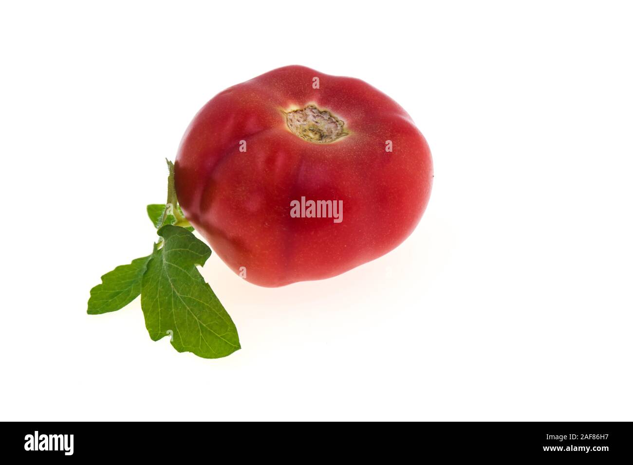 Tomato isolated on white background with leaf Stock Photo - Alamy