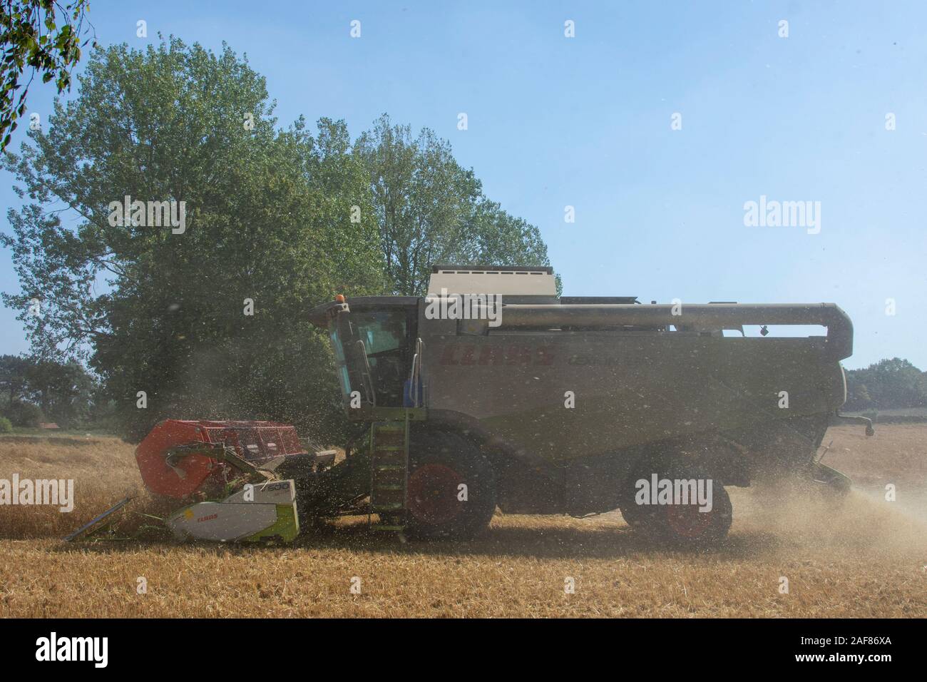 Combine harvester combining oats Stock Photo
