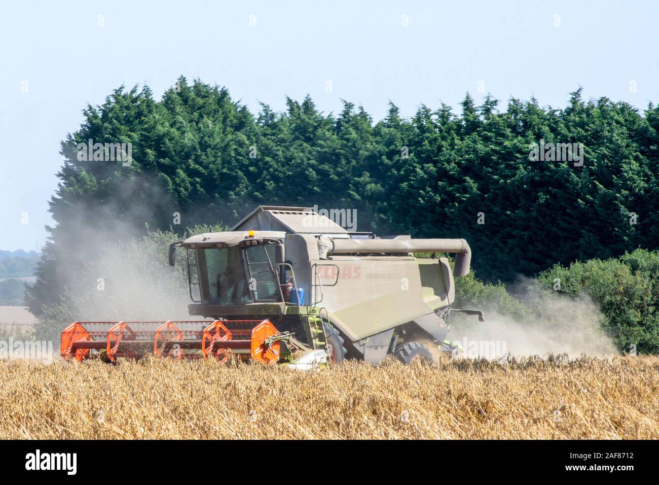 Combine harvester combining oats Stock Photo