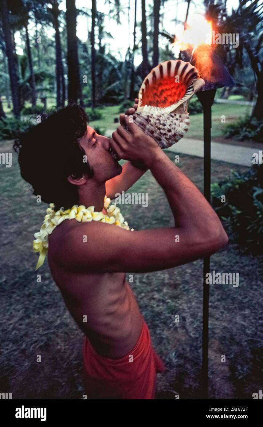 A bare-chested native Hawaiian man wearing a flower lei and loincloth blows a conch shell during the nightly torch-lighting ceremony at a holiday resort on Kauai, one of the eight major islands in Hawaii, USA. Called a 'pu' in the Hawaiian language, the large seashell is played like a ceremonial fanfare trumpet, and its loud sound can carry a distance of two miles. The now-traditional Hawaii torch-lighting ritual at dusk was the idea of Grace Guslander, manager of Kauai's famous Coco Palms Hotel that closed in 1992 following catastrophic damage by Hurricane Iniki. Stock Photo