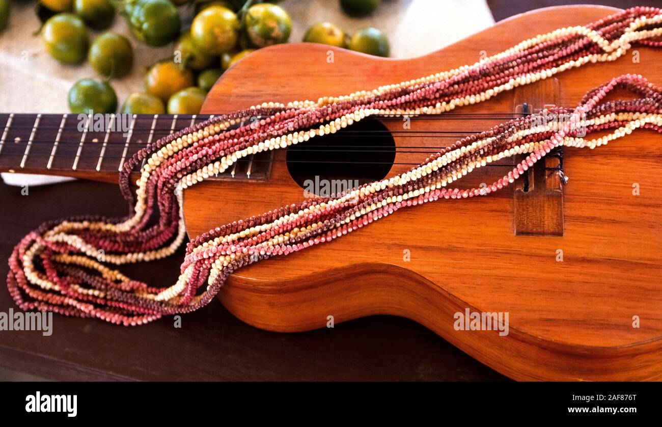 A beautiful multistranded necklace of tiny colorful seashells is displayed atop a ukelele on Niihau, an isolated Pacific Ocean island in Hawaii, USA. Authentic Niihau shell jewelry is so unique that state law forbids using the name Niihau to sell it unless 100 percent of the shells are collected on that small island. Cost of Niihau shell jewelry - necklaces, bracelets, earrings - ranges from $100 to $30,000. Niihau is known as the Forbidden Island because only Niihauans born on the island are permitted to live there and visitors are limited  to its shores for only a few hours. Stock Photo