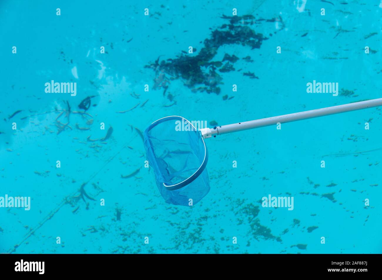 Dirty swimming pool hires stock photography and images Alamy