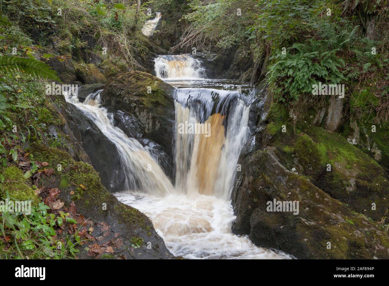 Pecca Falls is one of the waterfalls on the Ingleton Waterfalls Trail in the Yorkshire Dales Stock Photo