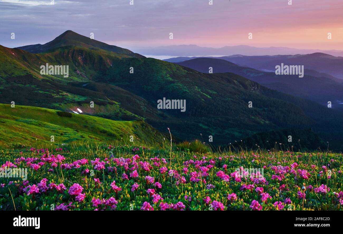 Scenic background. Majestic Carpathian mountains. Beautiful landscape. Breathtaking view Stock Photo