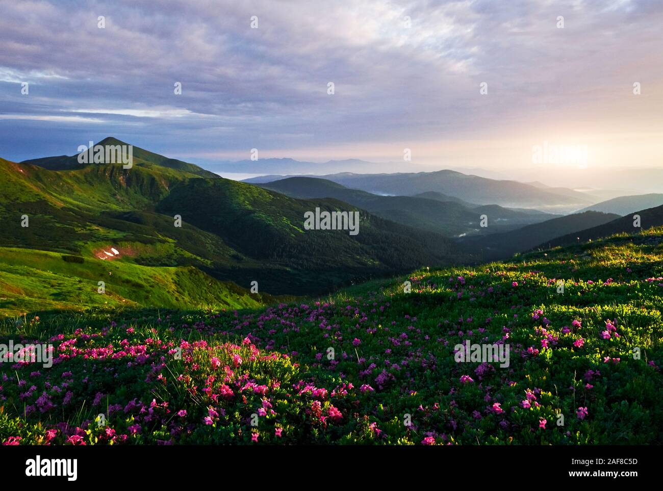 Mountain peaks. Majestic Carpathian. Beautiful landscape. Breathtaking view Stock Photo