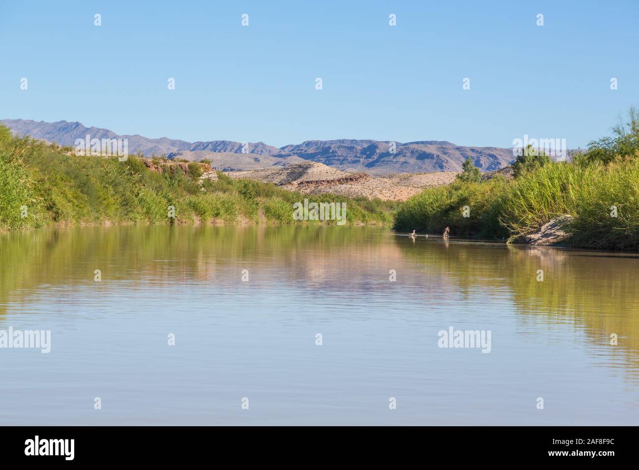 Rio Grande River, Flowing Northeast near Rio Grande Village, Big Bend National Park, Texas. Stock Photo