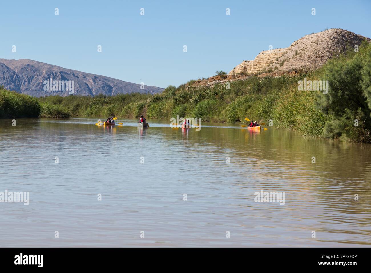 Canoeing on the Rio Grande River, Flowing Northeast near Rio Grande Village, Big Bend National Park, Texas.  Invasive Carrizo Cane on river bank. Stock Photo