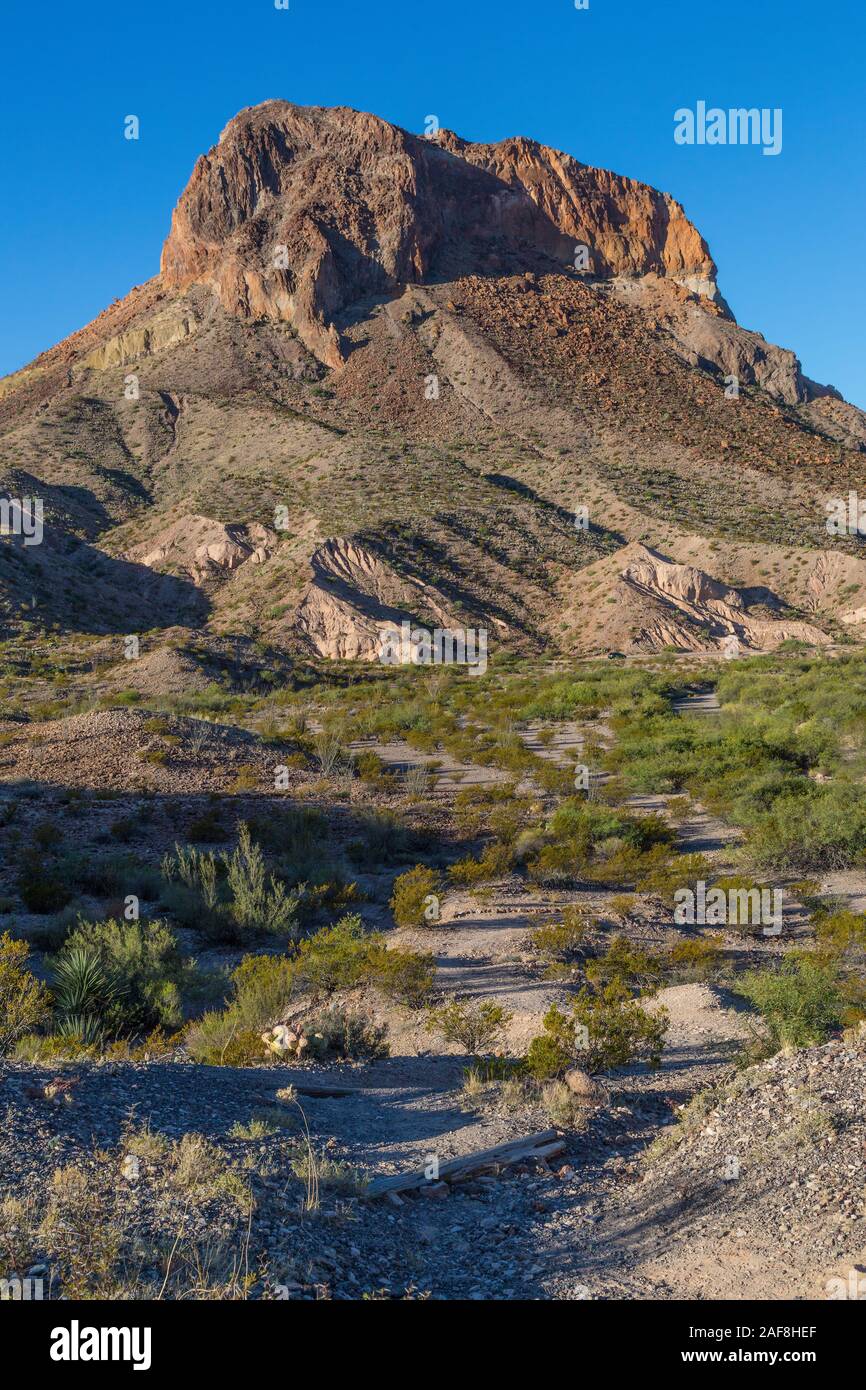 Cerro Castellan (Castolon Peak) near Tuff Canyon, Ross Maxwell Scenic Drive, Big Bend National Park, Texas. Stock Photo