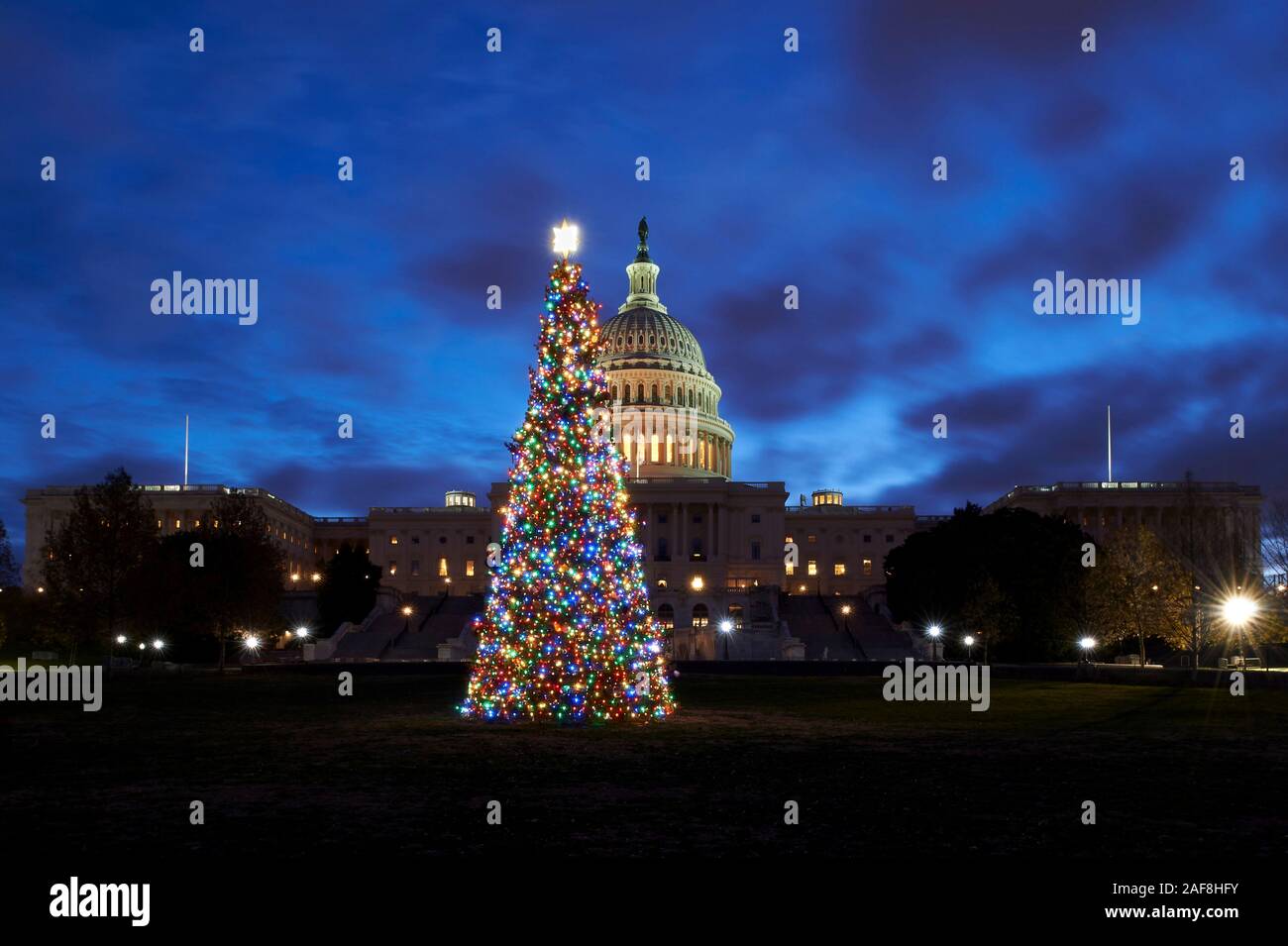 The Capitol Christmas tree glows with colorful fairy lights with the