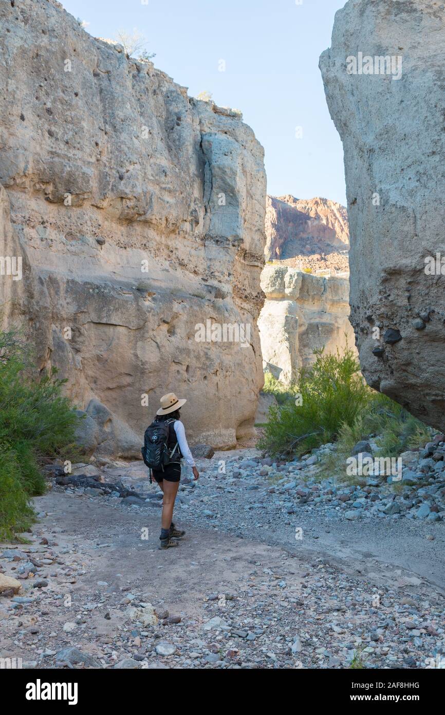 Hiking in Tuff Canyon, Big Bend National Park, Texas. Stock Photo