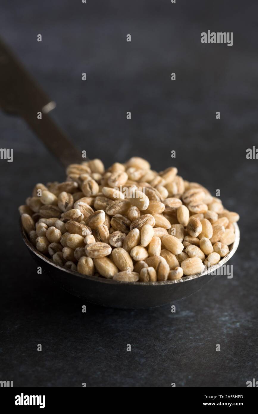 Whole Grain Milling Barley Stock Photo Alamy