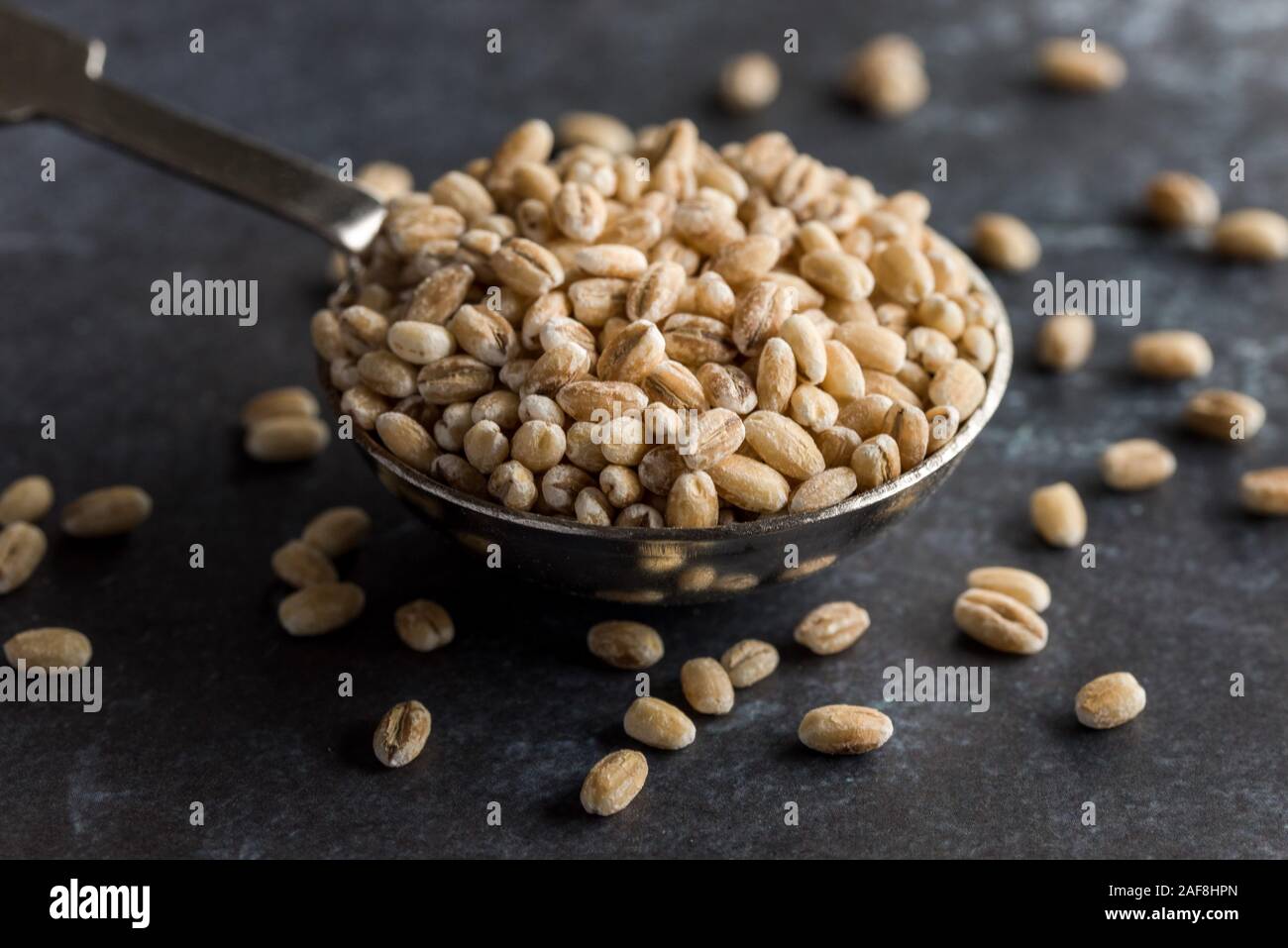 Whole Grain Milling Barley Stock Photo Alamy
