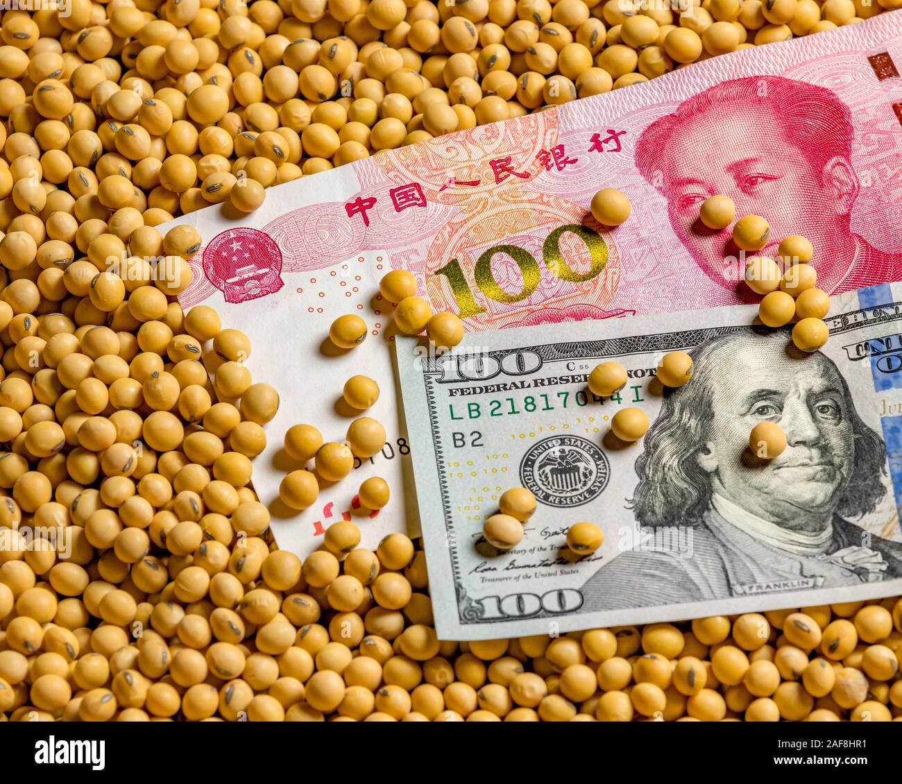 Chinese 100 yuan renminbi and American 100 dollar bill surrounded with soybeans. Concept of China & United States of America trade war, tariffs Stock Photo