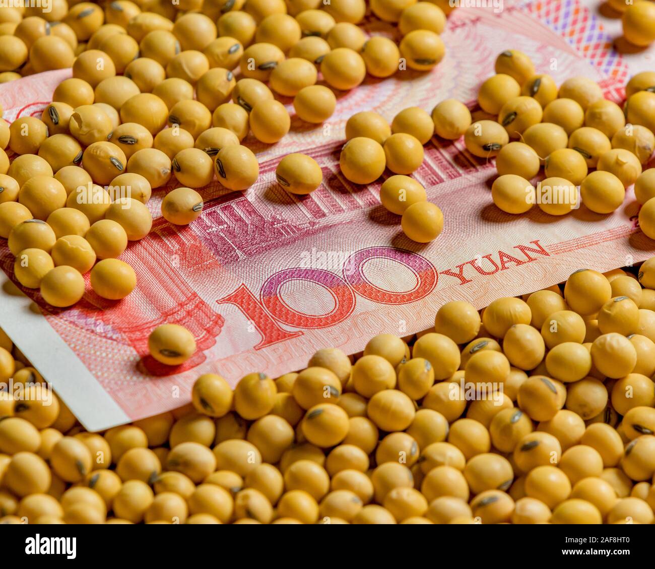 Chinese 100 yuan renminbi bill surround with soybeans. Concept of China and United States of America trade war, tariffs, and commodity market prices Stock Photo