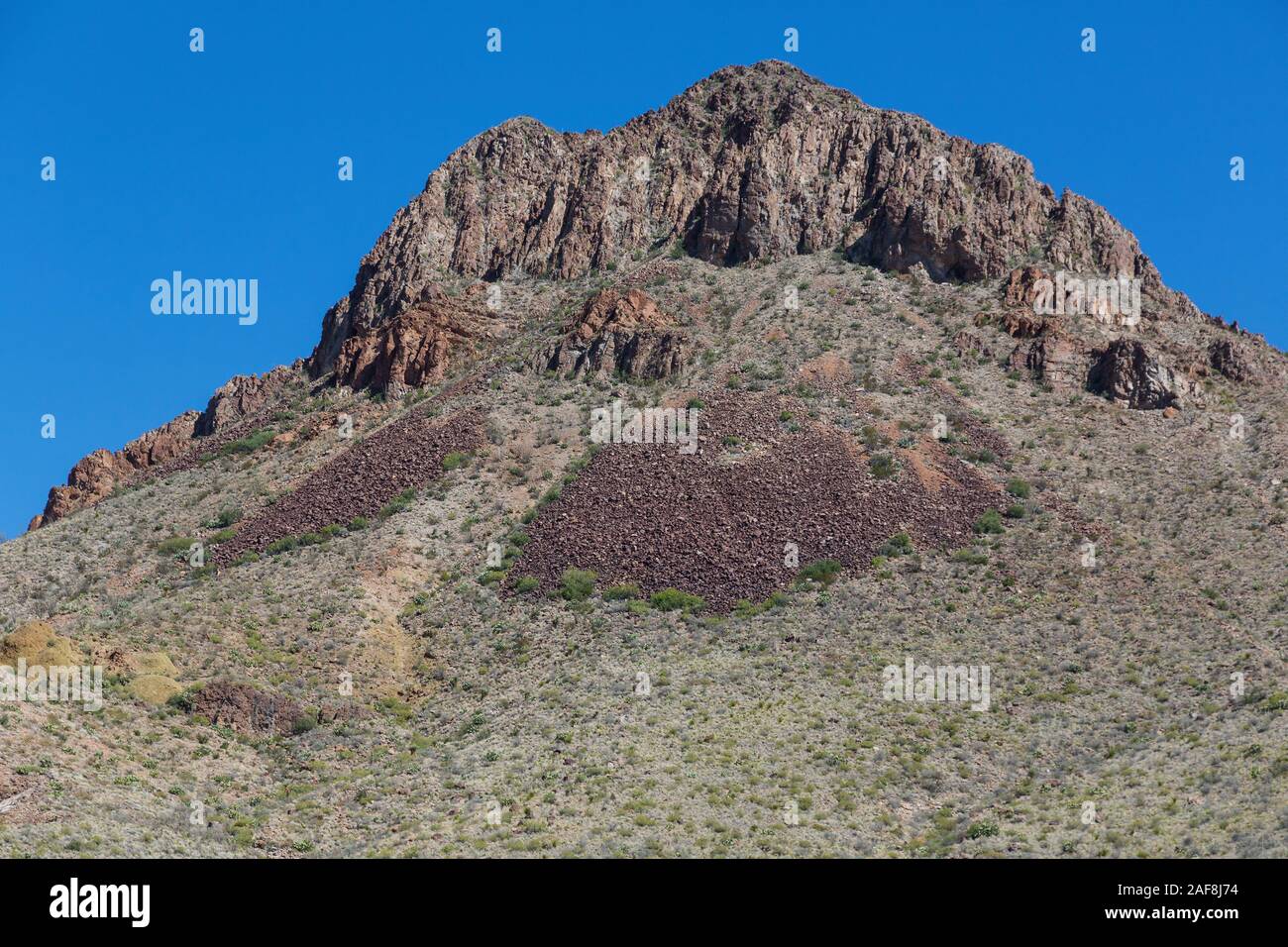 Big Bend National Park, Texas.  Talus Slope on Hillside Seen from Mule Ears Spring Trail. Stock Photo