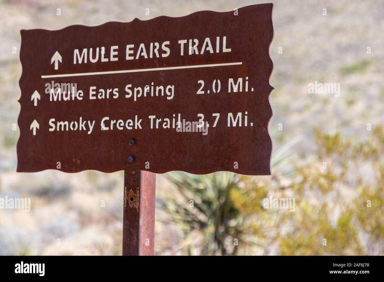 Big Bend National Park, Texas. Mule Ears Spring Trail Sign. Stock Photo