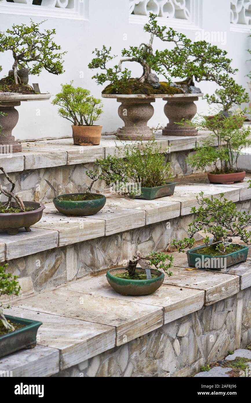 Bonsai Gardens at located by Jurong Lake, Singapore Stock Photo Alamy