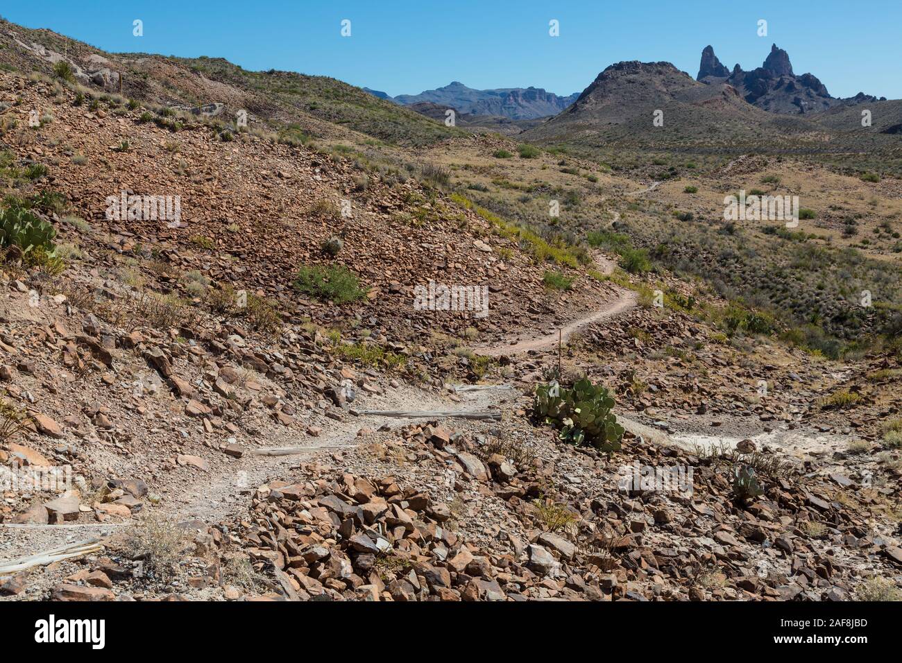 Big Bend National Park, Texas. Mule Ears Spring Trail. Stock Photo