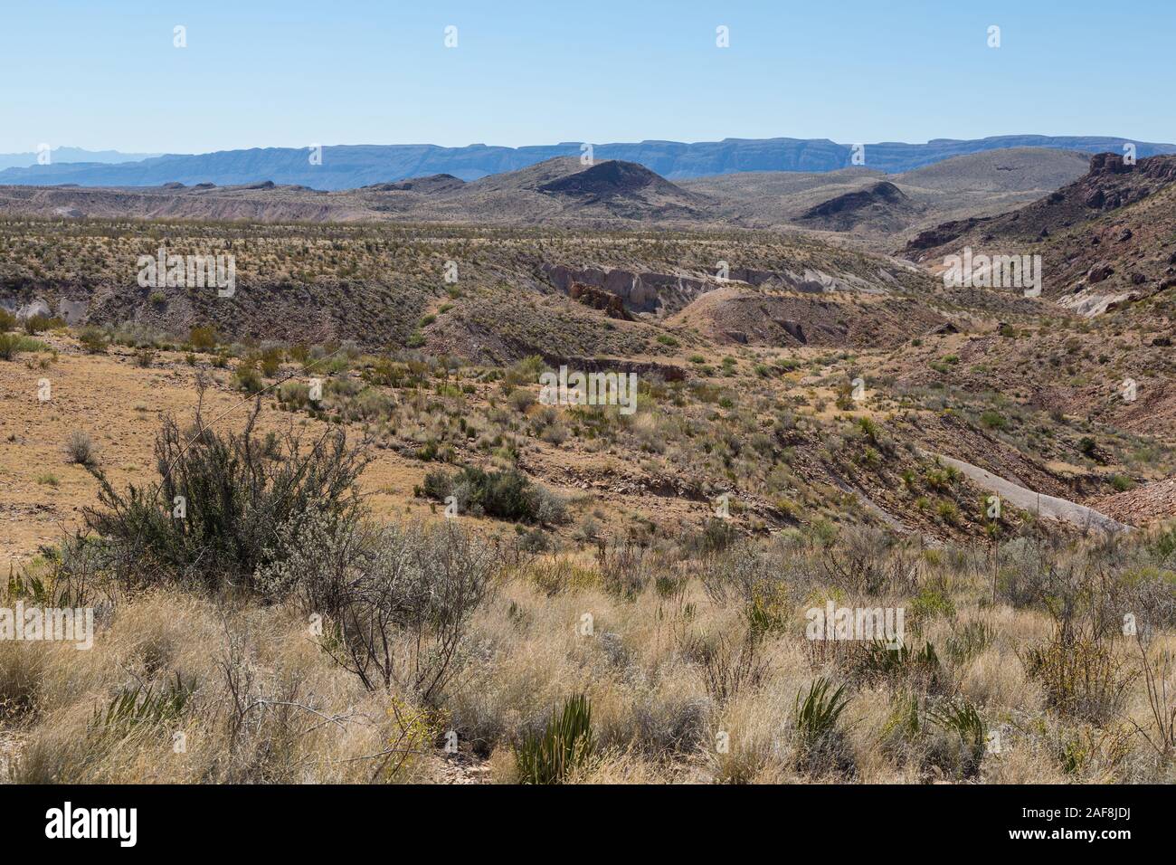 Big Bend National Park, Texas. Scenic View from Mule Ears Spring Trail. Stock Photo