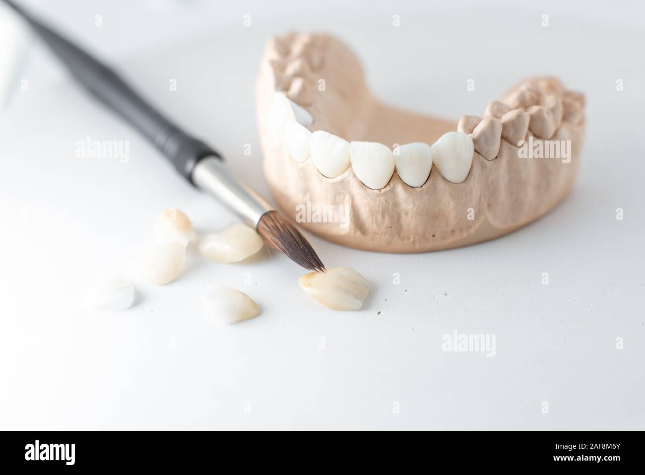 Close-up on plaster model of artificial jaw with teeth and paintbrush ...