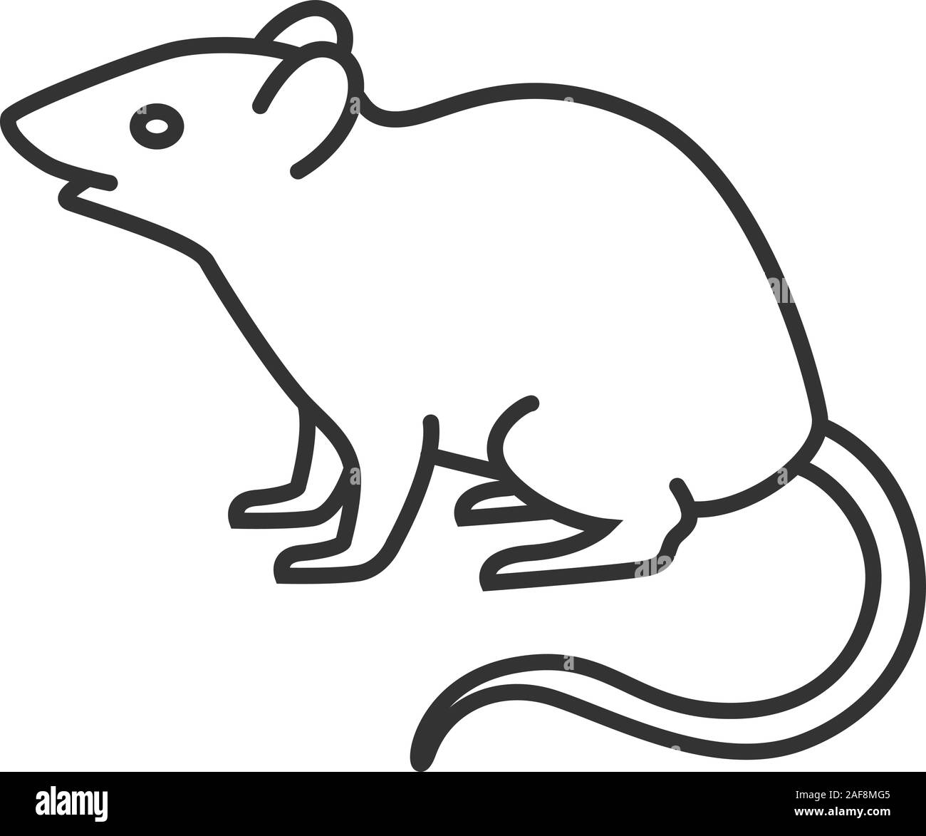 Mouse, rat linear icon. Rodent. Thin line illustration. Pest. Contour symbol. Vector isolated outline drawing Stock Vector