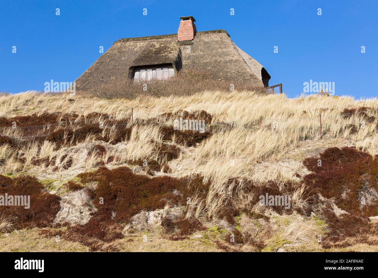 Hoernum, Reetdachhaus, Duenen Stock Photo