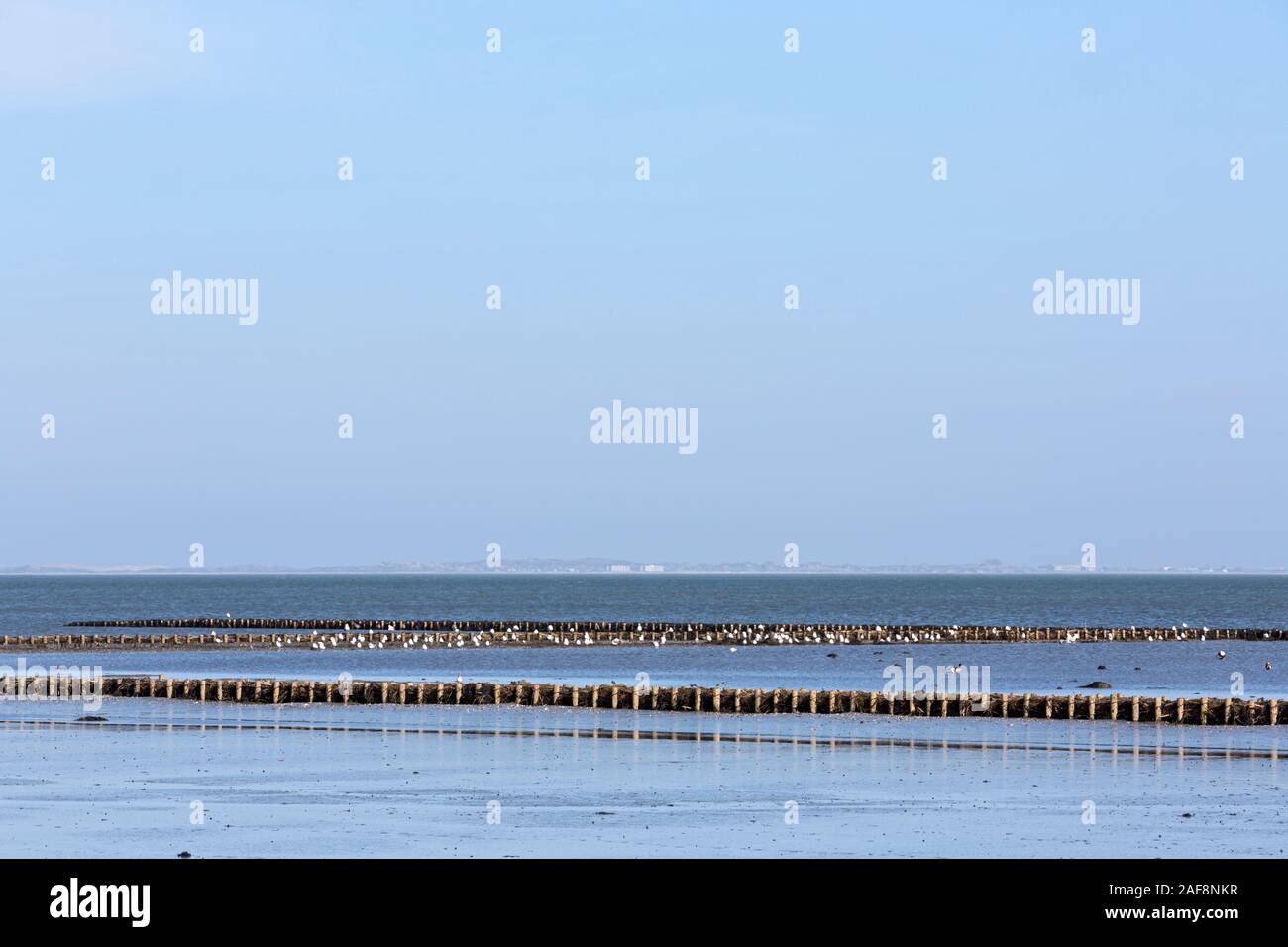 Keitum, Wattenmeer, Ufer, Faschinen, Seevoegel Stock Photo