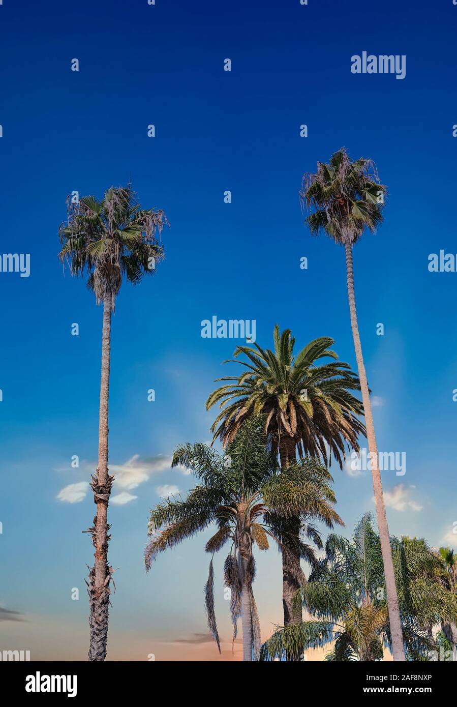 Warm tropical climate hi-res stock photography and images - Alamy