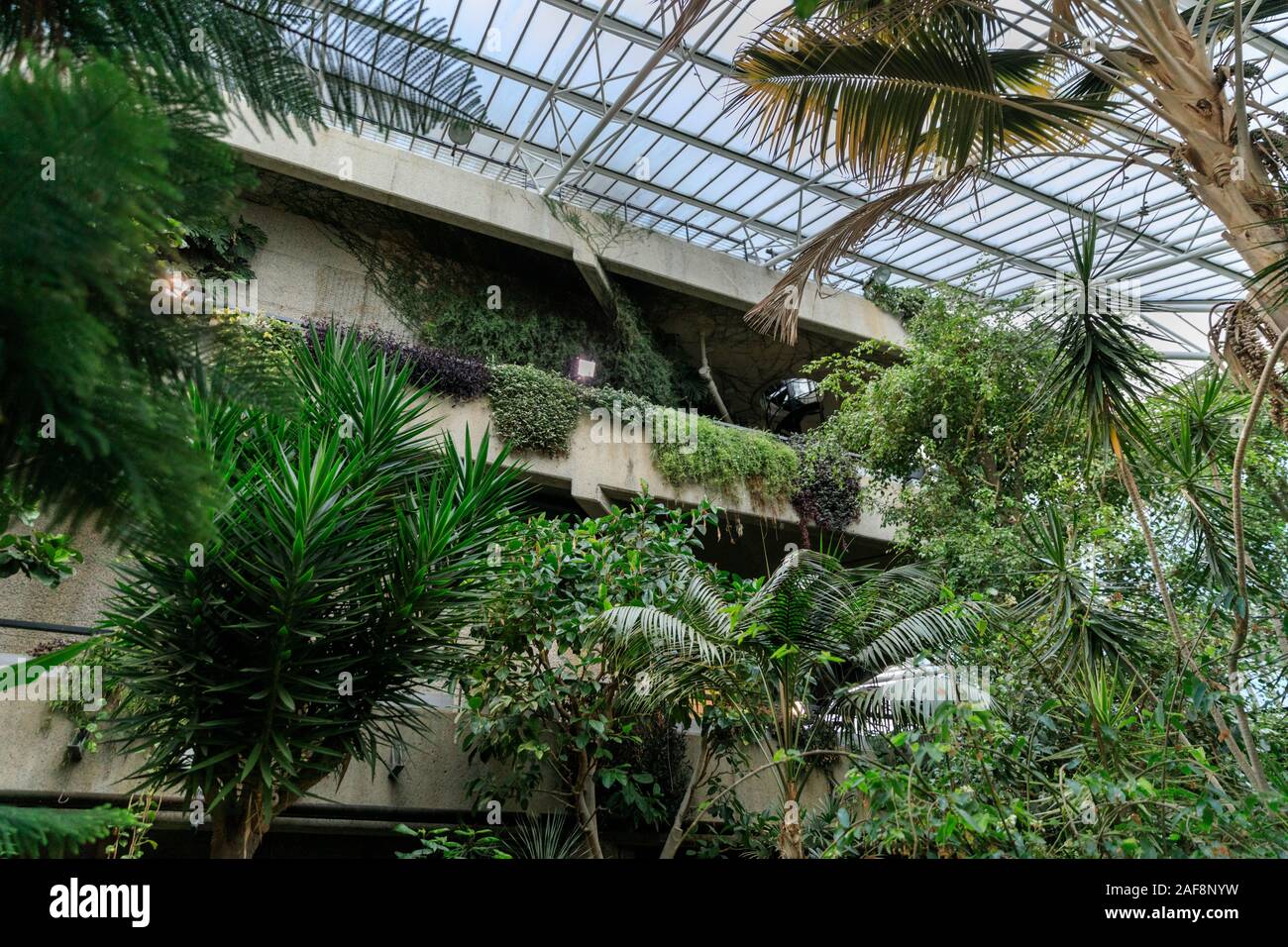 Barbican Conservatory interior glass roofed indoor gardens with exotic