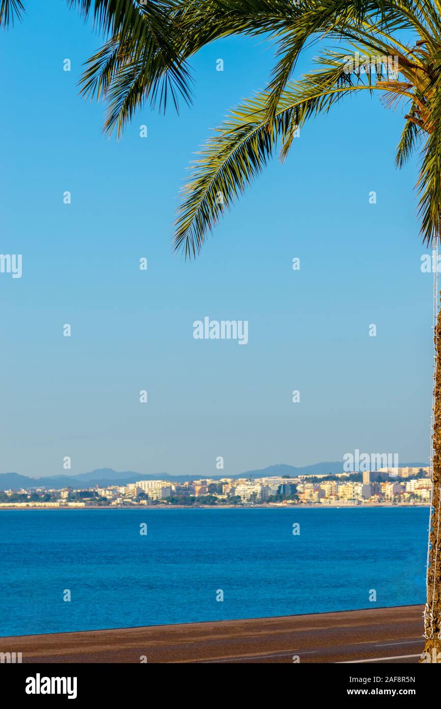 Palm tree decorated with garlands in blue Mediterranean sea and the ...