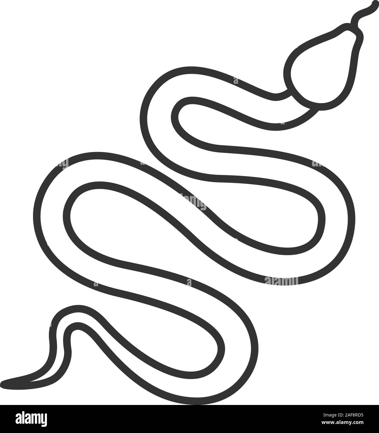 Rattlesnake Outline at Becky Craig blog