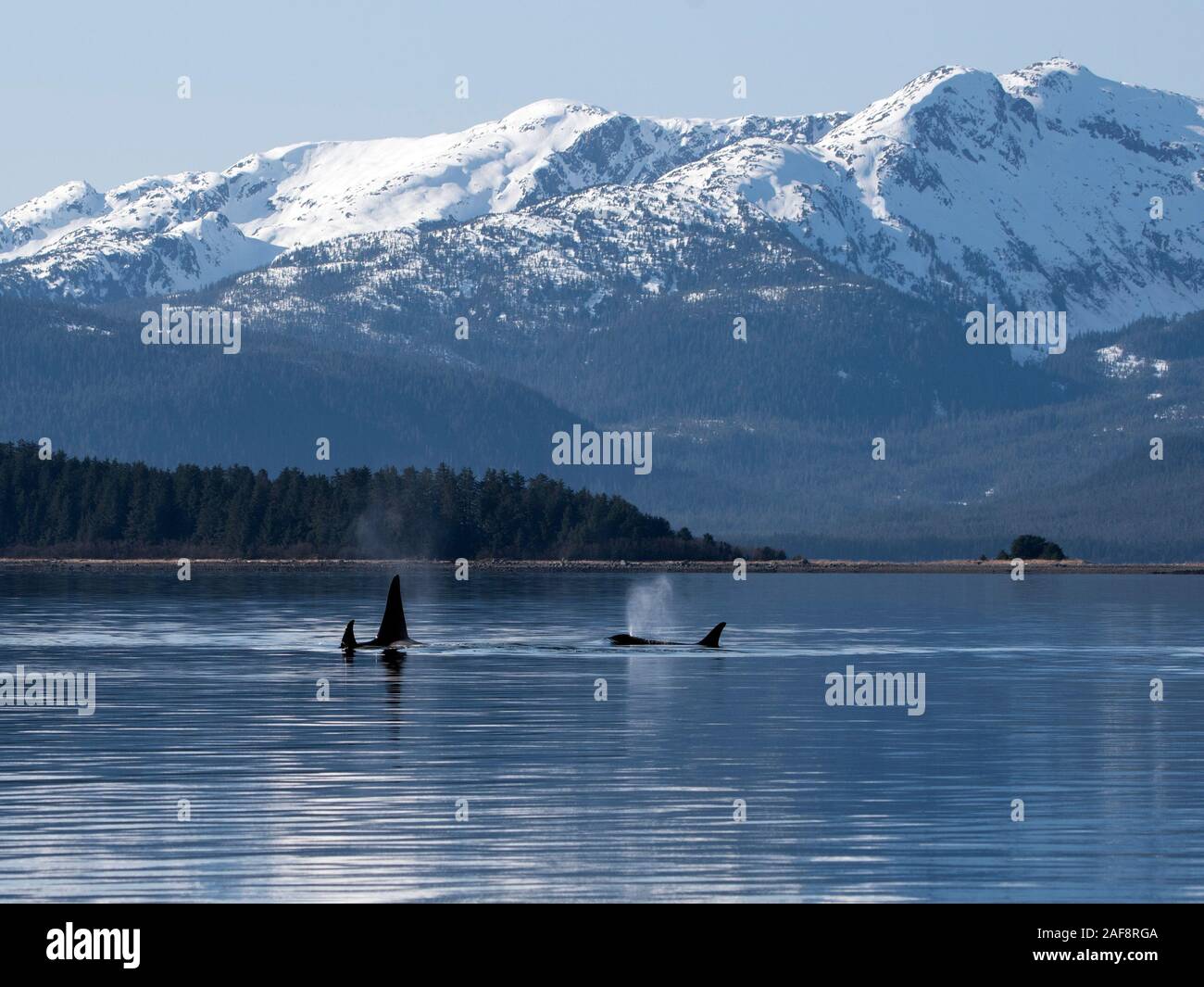 Admiralty Island National Monument Admiralty Island National Monument High Resolution Stock Photography And  Images - Alamy