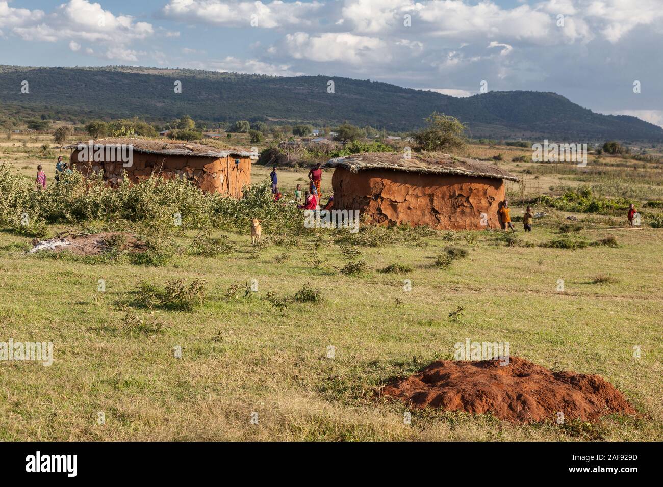 Tanzania. Two Houses in Maasai Village of Ololosokwan, Northern ...