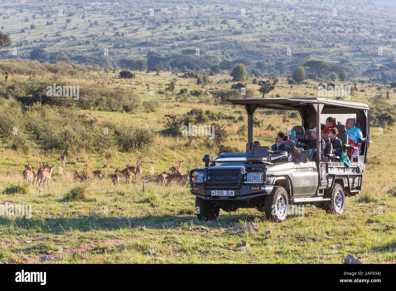 Tanzania. Serengeti.  Game Drive Vehicle in the Loliondo Concession Area, Northern Serengeti Area. Stock Photo