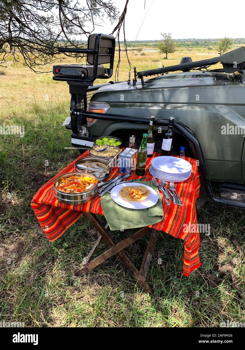 Tanzania.  Serengeti Game Drive Lunch. Stock Photo
