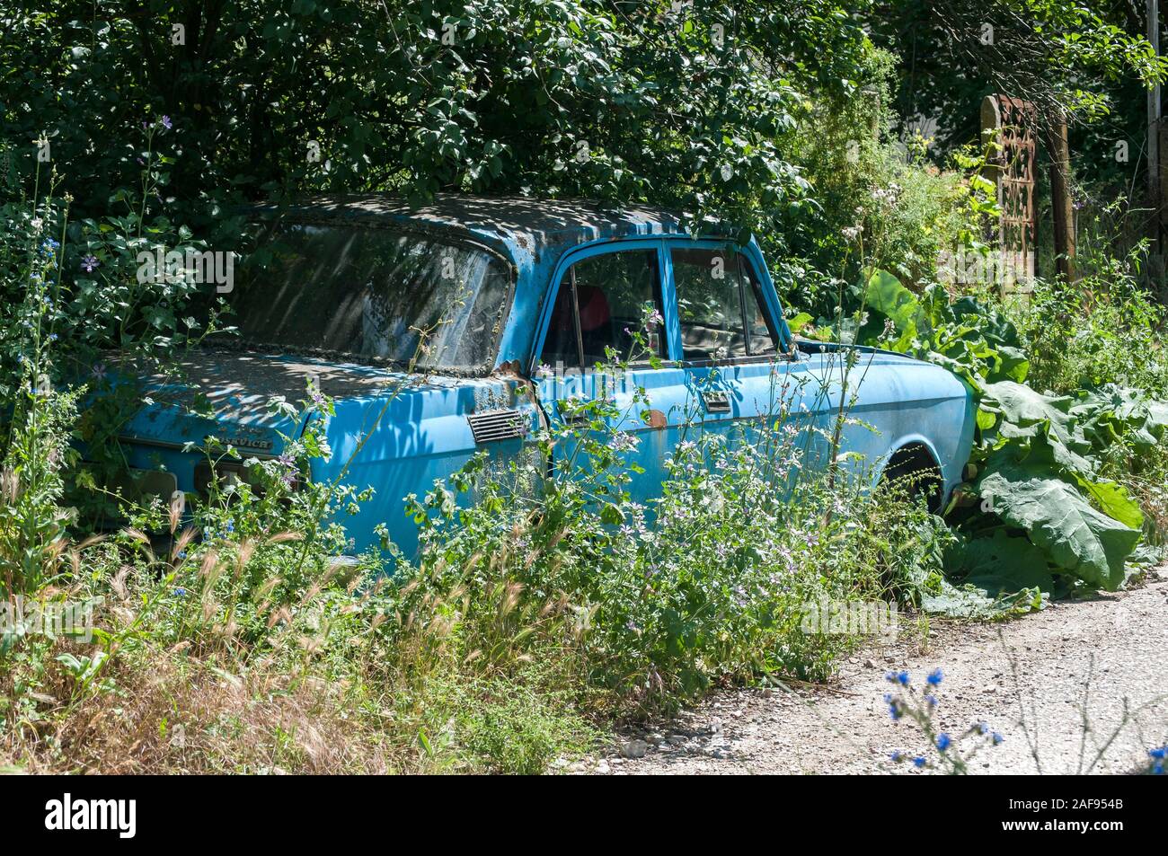 Classic car in overgrown junk hi-res stock photography and images - Alamy