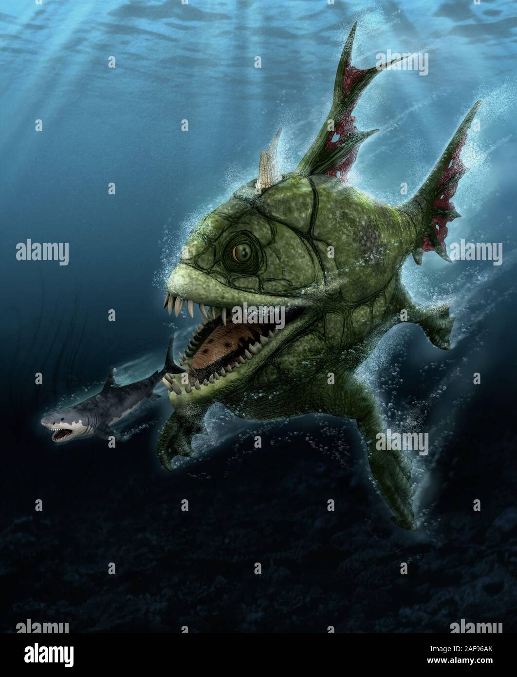 Great white shark hunted by a big deep sea monster fish, depths of the  ocean, hunter becomes the hunted, 3d render Stock Photo - Alamy