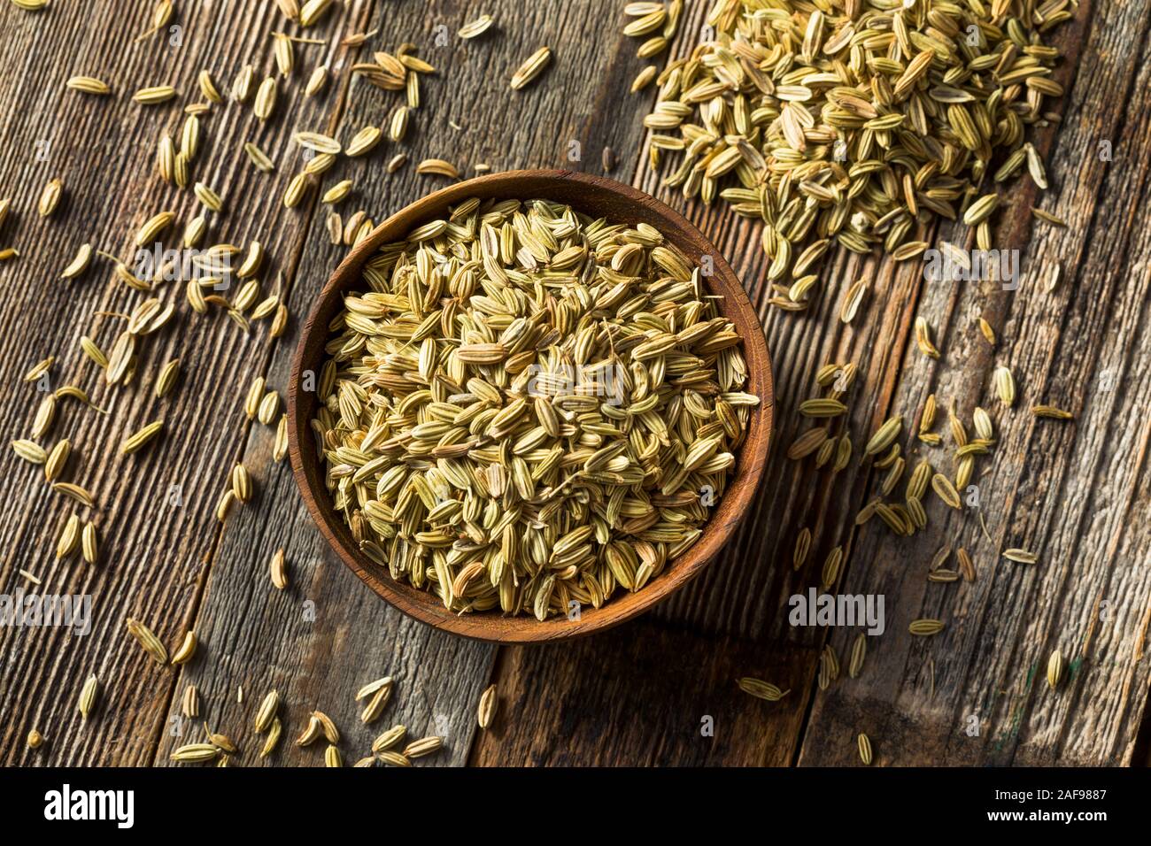 Raw Dry Organic Fennel Seeds in a Bowl Stock Photo