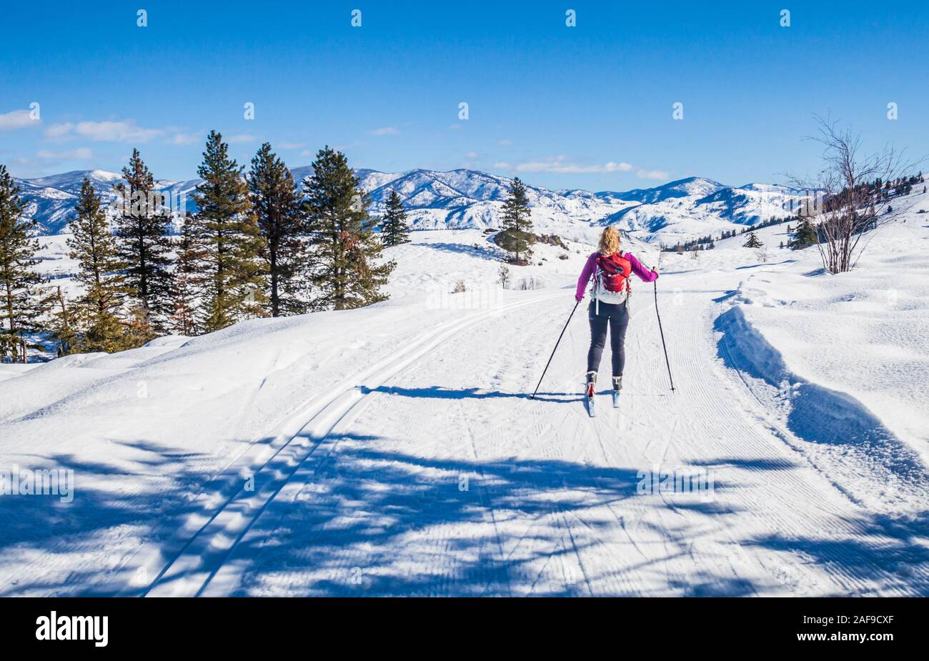 A middle aged woman on the cross country trails in the Methow Valley up near Sun Mountain Lodge (Winthrop / Twisp, Washington, area, USA). Stock Photo