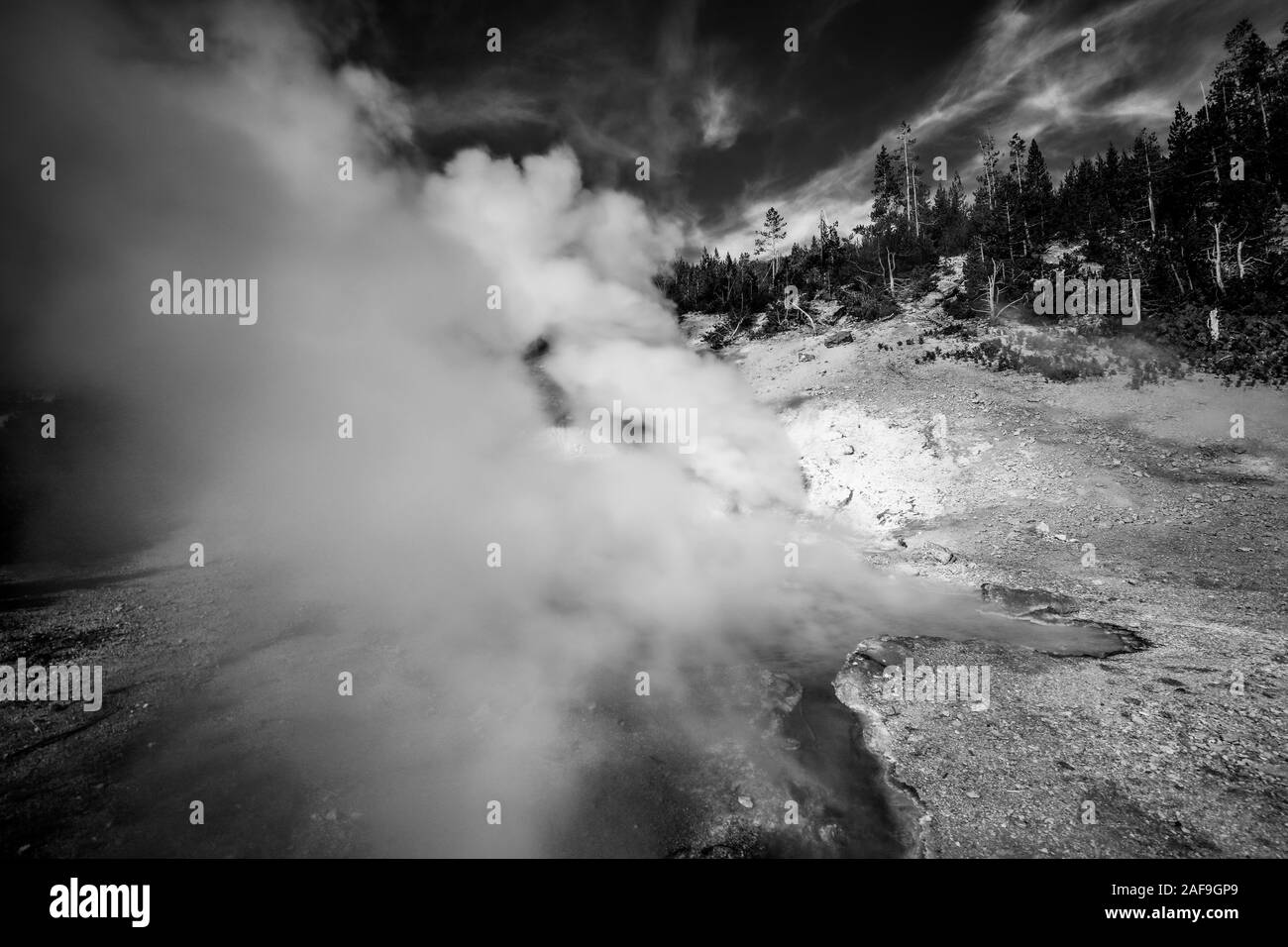 Geyser and Steam and Mist spewing from a hot spring in black and white in Yellowstone National Park Stock Photo