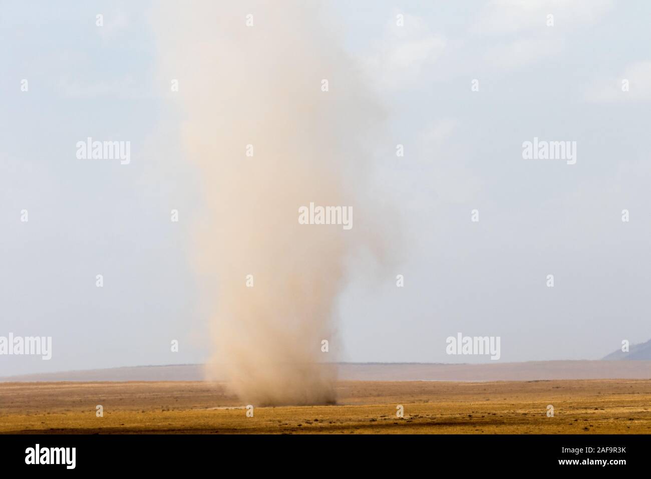 Dust Devil on Serengetti Plains Stock Photo