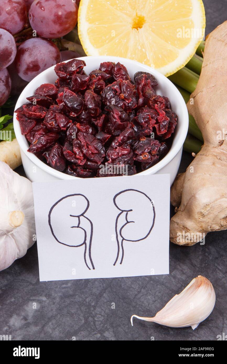 Drawing of kidneys and fresh healthy eating containing natural vitamins