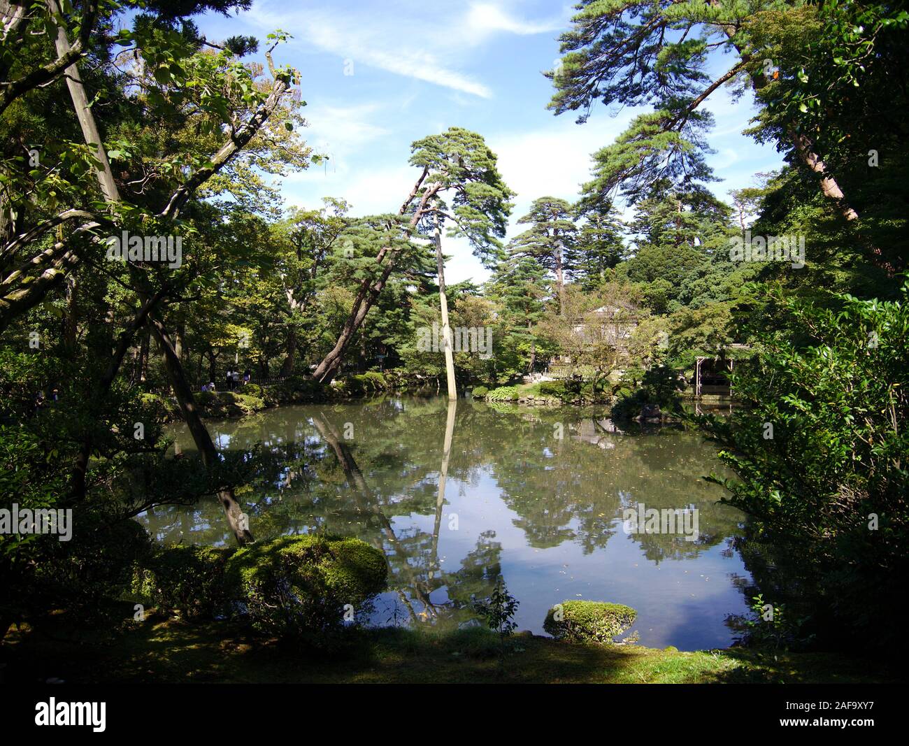 A Maple tree is propped up by a pole over Hisago ike pond in Kenroku-en Garden. Stock Photo