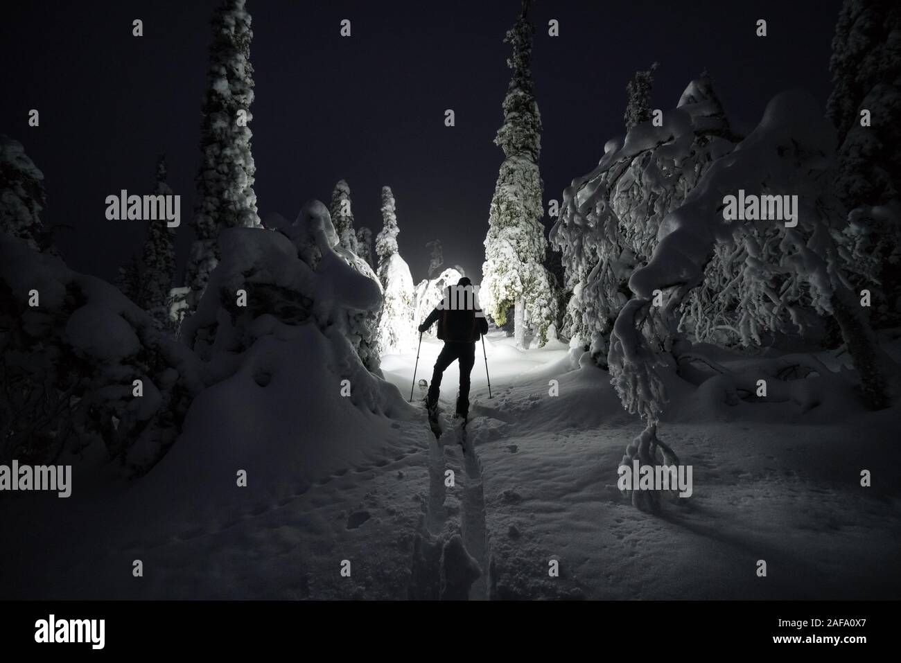 Ski touring in Pyhä-Luosto national park, Pelkosenniemi, Lapland, Finland Stock Photo