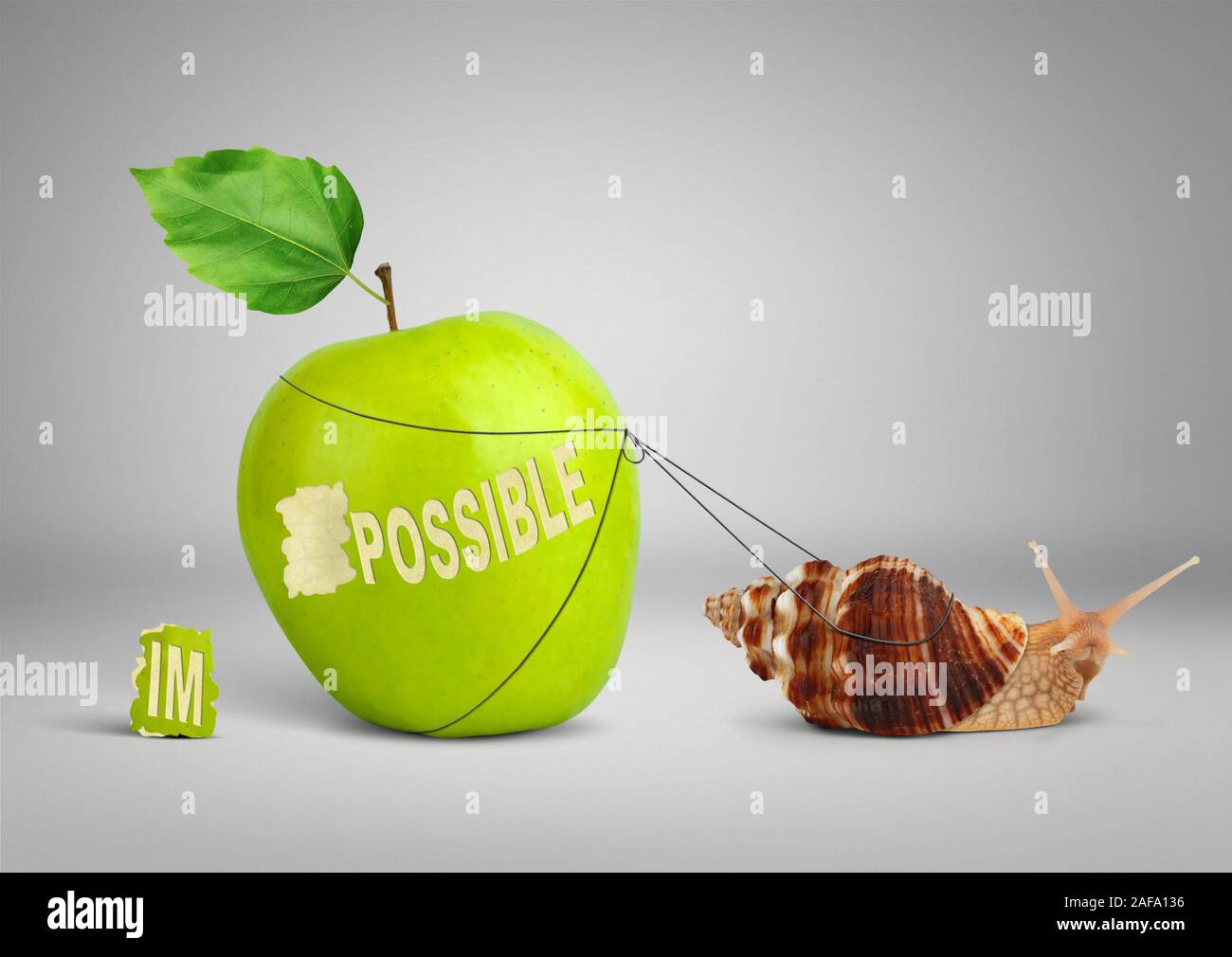 Impossible is possible concept, Snail pulling big apple Stock Photo