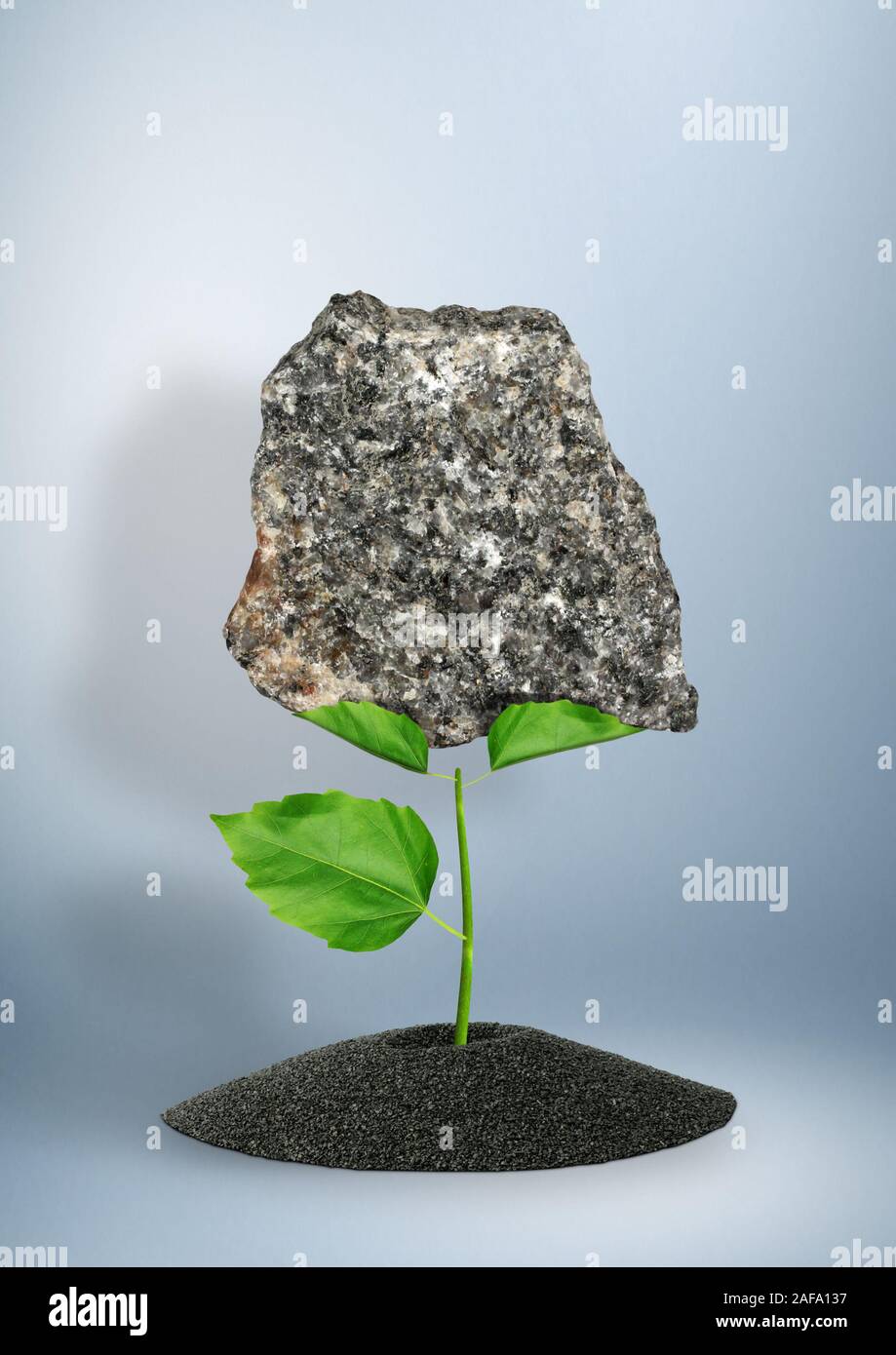 Impossible is possible concept, sprout raise stone Stock Photo
