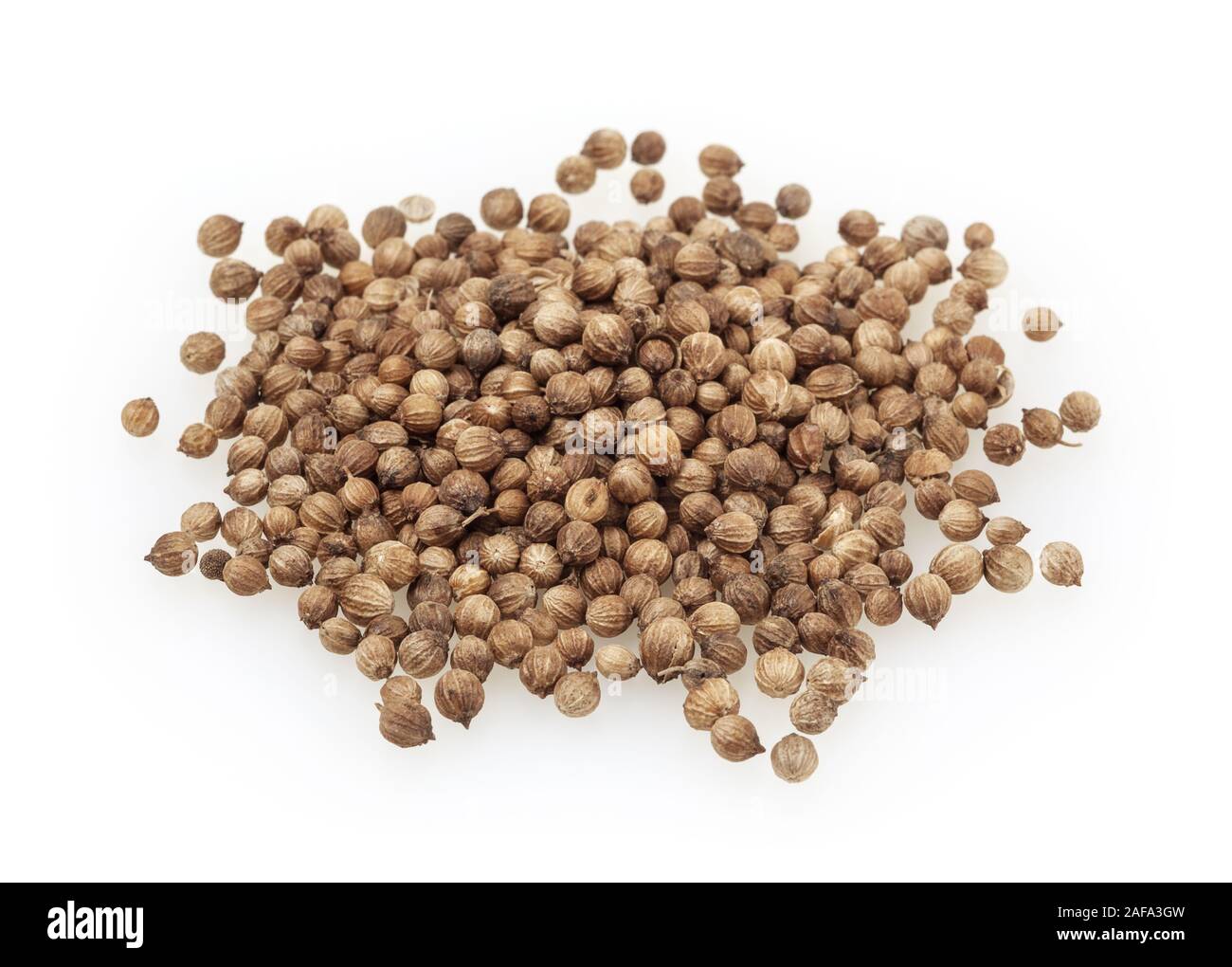 Heap of dried coriander seeds isolated on white background Stock Photo