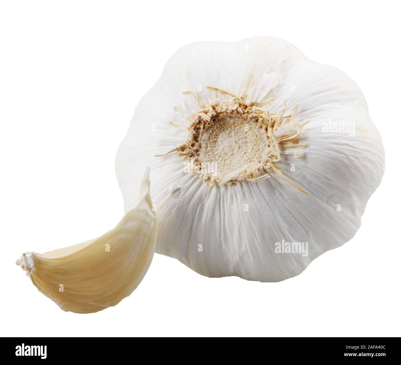 Close-Up Of Garlic Clove On White Background Stock Photo - Alamy