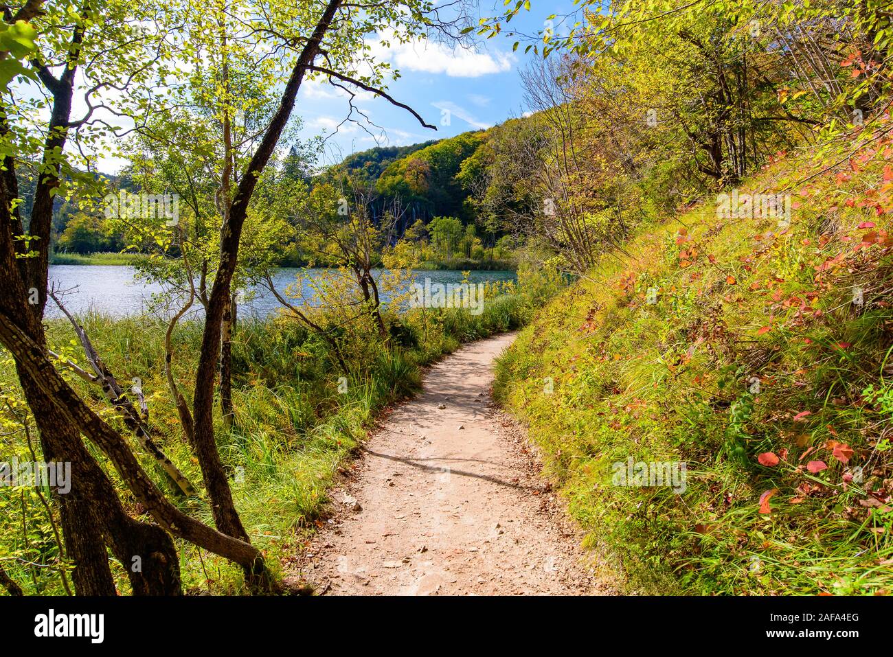 Trekking path at Plitvice Lakes National Park (Plitvička Jezera), a national park in Croatia Stock Photo
